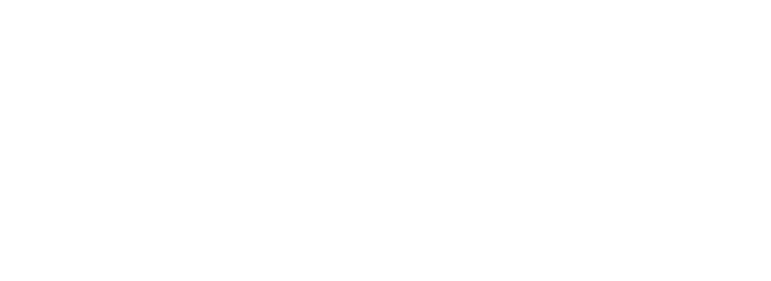 Vitalis Gladius Oy